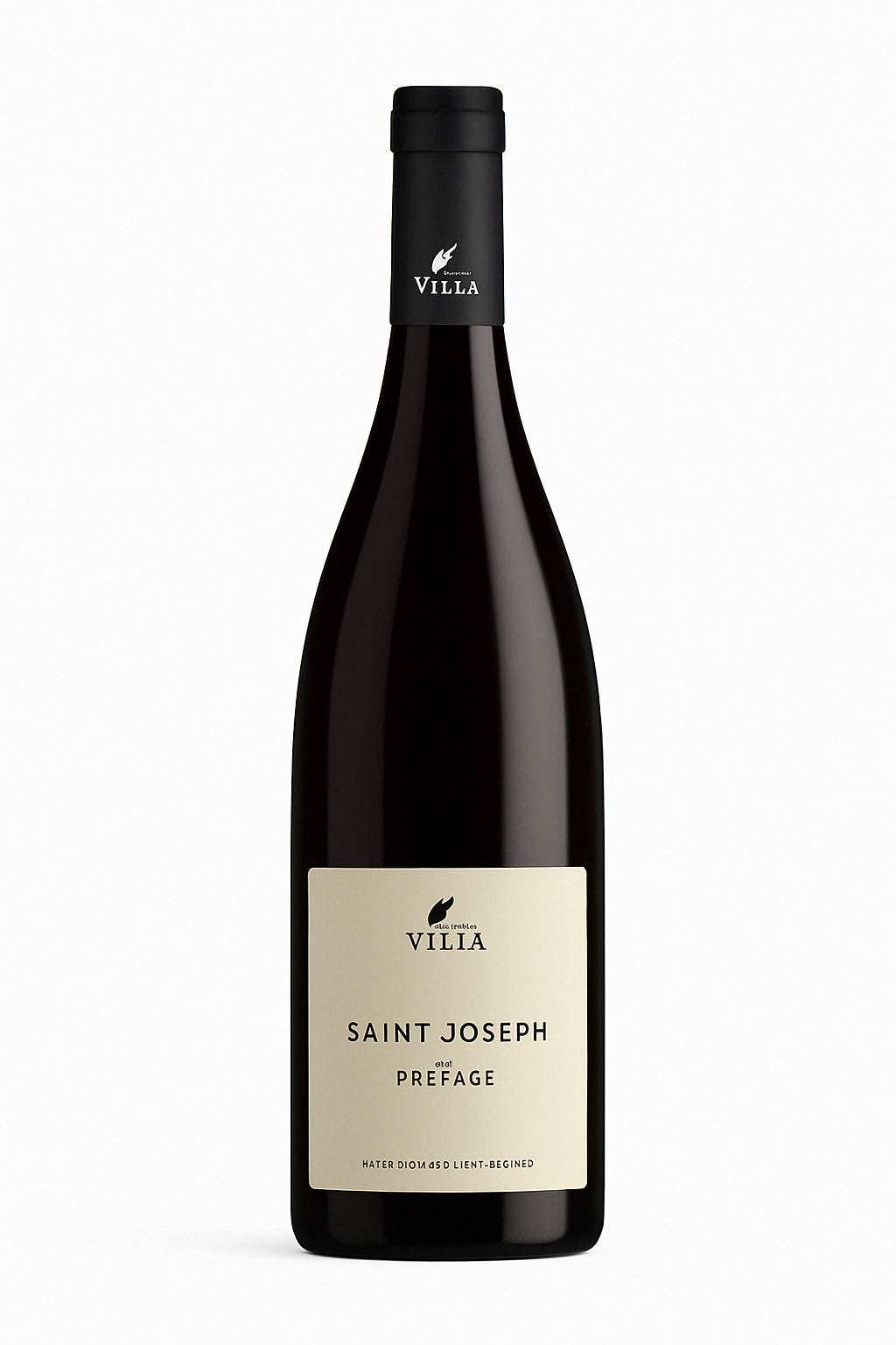 Pierre Jean Villa Saint-Joseph Préface 2012 75CL